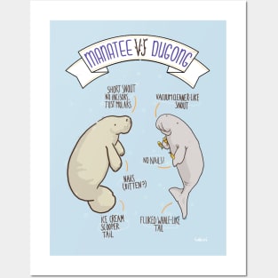 Manatee VS Dugong: an educational poster with a bit of humour illustration Posters and Art